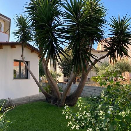Il Pepe Rosa Bed & Breakfast Posada  Dış mekan fotoğraf