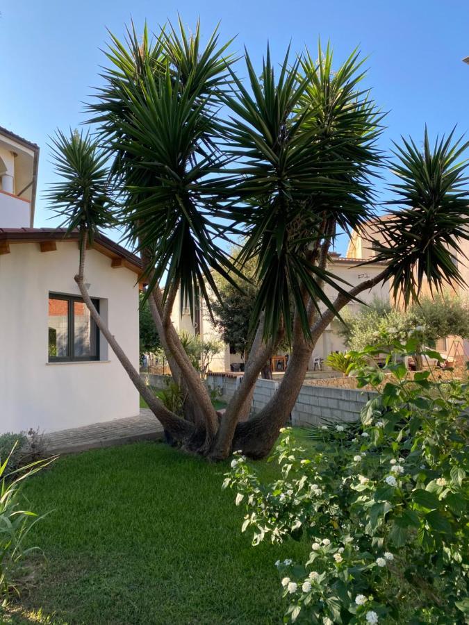 Il Pepe Rosa Bed & Breakfast Posada  Dış mekan fotoğraf